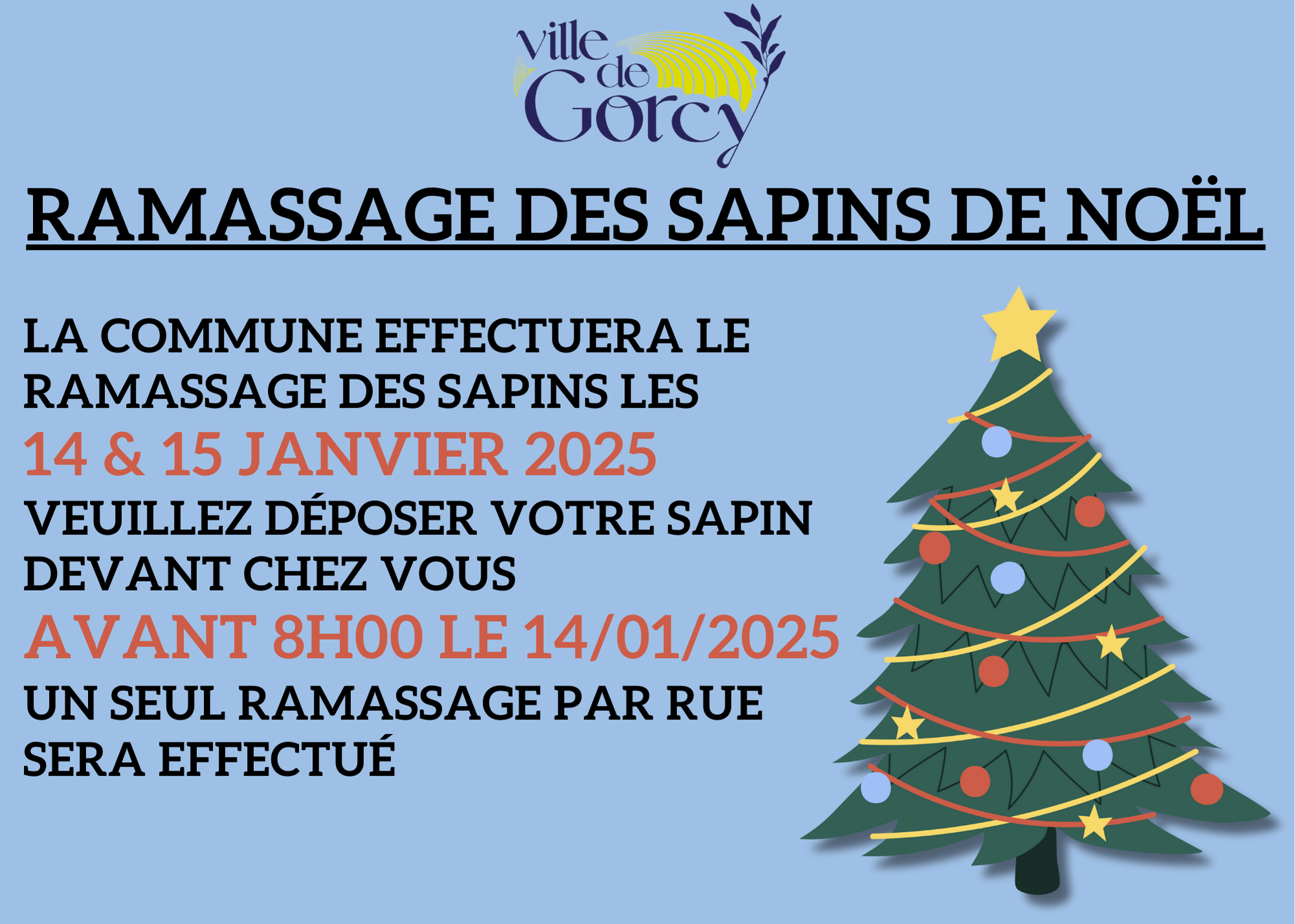Ramassage Sapins gorcy